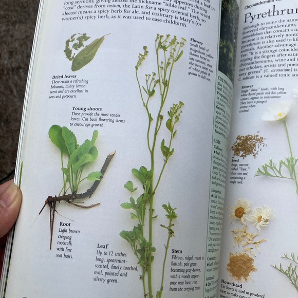 Reader's Digest Herb Reference Hardcover Book - Picture 6 of 11
